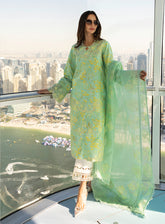Carnation by Rang Rasiya Embroidered Lawn Suits Unstitched 3 Piece - RR25CL 06 BELLA